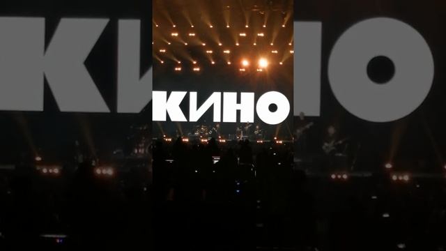 Кино - Кукушка (Санкт-Петербург live 23.05.21) смотреть онлайн