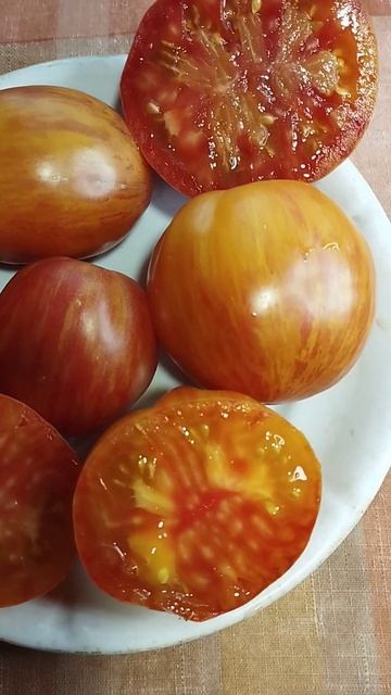 Коллекционный томат Козула 141(Плиссированное сердце) Ватсап тел.89229284031 смотреть онлайн