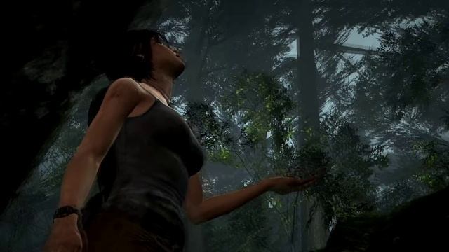 Tomb Raider - Прохождение #1 смотреть онлайн
