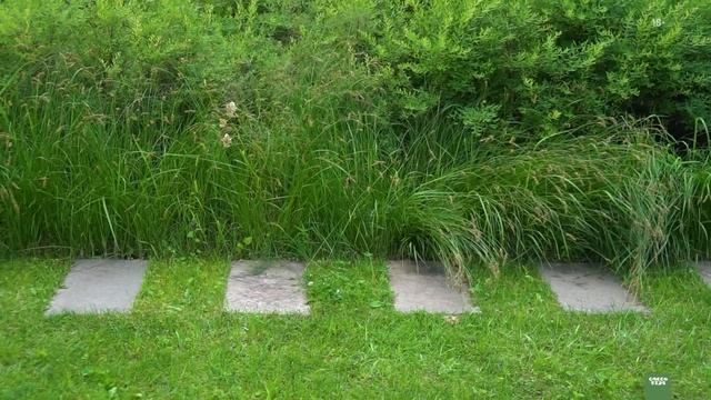 Сад «Простая Геометрия» Натальи Борисовой смотреть онлайн