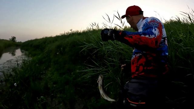 КЛАССИКА НИКОГДА НЕ ВЫХОДИТ ИЗ МОДЫ! Ловля ЩУКИ В ЗАРОСШЕМ РУЧЬЕ! ОПЕРАТОР ЖЖЁТ! Вместе ВЕСЕЛЕЕ!!! смотреть онлайн