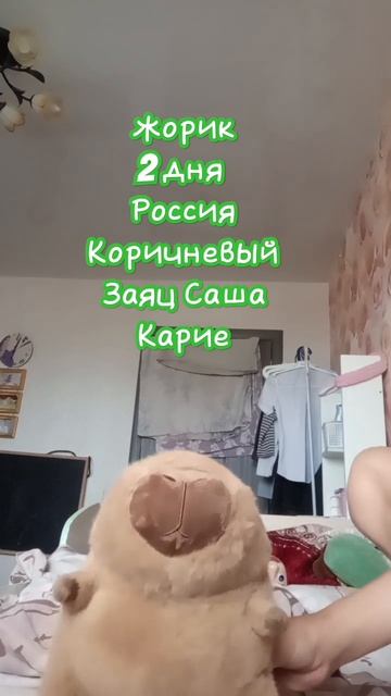 привет я Жорик смотреть онлайн