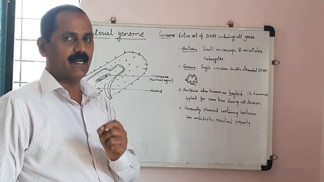 Bacterial genome | Microbial genetics | смотреть онлайн