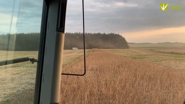 Відгук про LEXION 8700 TERRA TRAC💚 смотреть онлайн