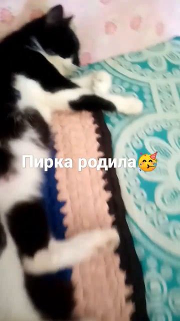 Ура смотреть онлайн