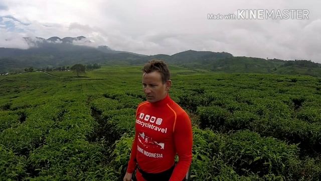 Впервые на чайной плантации. Западная Суматра. смотреть онлайн