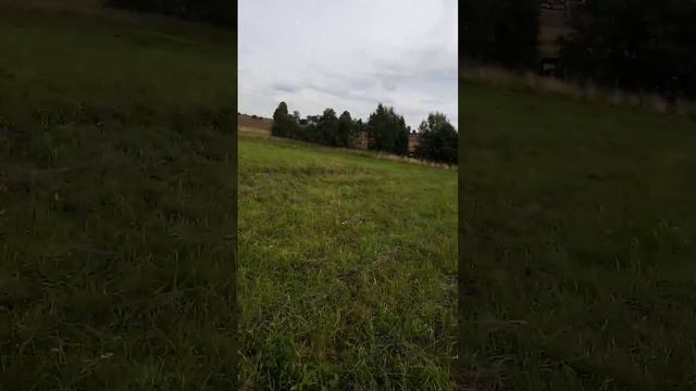 бизон застрял смотреть онлайн