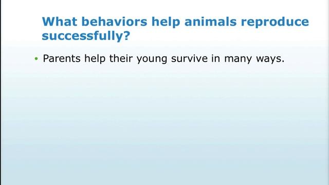 Unit 2 Lesson 6 Animal Behavior смотреть онлайн