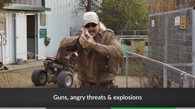 Tiger King: Murder, Mayhem and Madness: TV Review смотреть онлайн