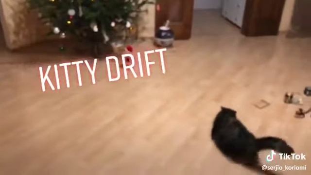 Русский кошачий дрифт смотреть онлайн