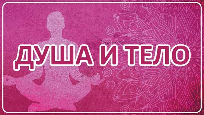 057 Душа и тело смотреть онлайн