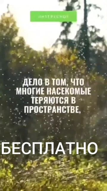 ХИТРЫЙ СПОСОБ ОТ КОМАРОВ.#медицина #секрет #тайна #наука #средство #лекарство #снадобье #юмор смотреть онлайн
