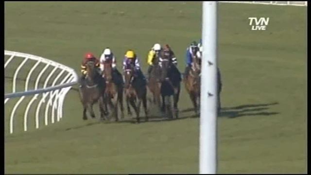 TVN NEWS - MORE JOYOUS RANDWICK BARRIER TRIAL 28/8/12 смотреть онлайн