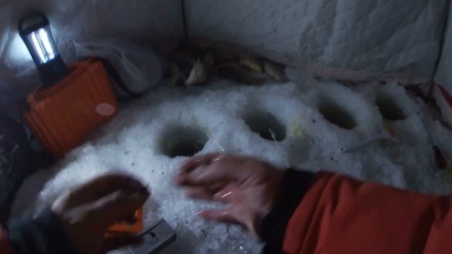 ЛОВЛЯ КРУПНОГО КАРАСЯ ЗИМОЙ СО ЛЬДА! ОГРОМНЫЙ карась загнул кивок! Ловля карася на утреней зорьке. смотреть онлайн