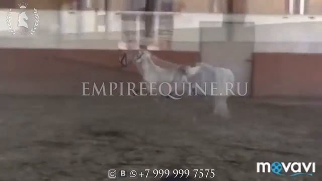 У230 смотреть онлайн