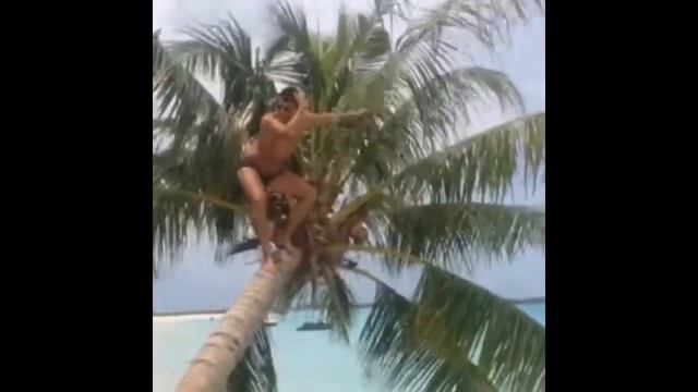 Maldives monkey from Russia смотреть онлайн