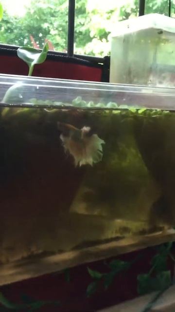 10 December 2019 смотреть онлайн