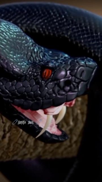 эдит змея 🐍 #storts #рекомендации #top #edit смотреть онлайн