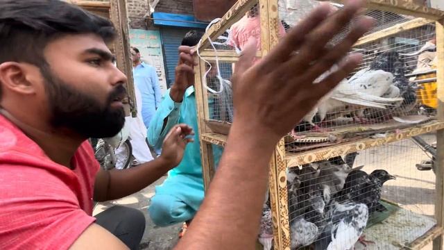 Aj Lahore Lari Ada Ka Visit Kiya 😯 смотреть онлайн