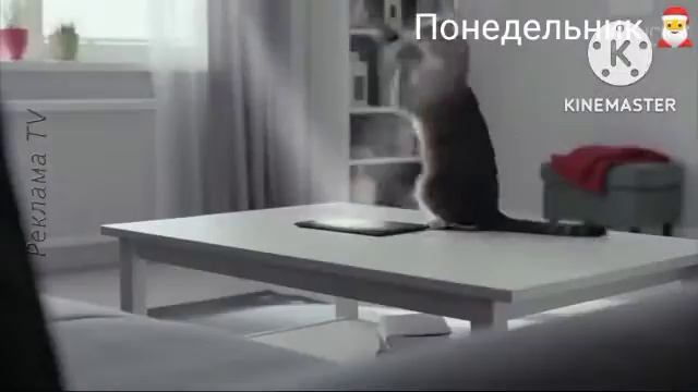 Рестарт Эфира Понедельник 29.12.2021 09:00 смотреть онлайн