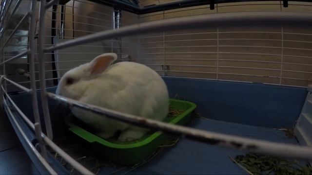 Наблюдаем за бусикам 7 минут. ЗАЙДИТЕ В ОПИСАНИЕ!!! смотреть онлайн