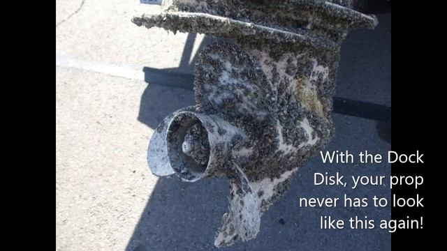 The Dock Disk - zebra and quagga mussel control and treatment solution смотреть онлайн