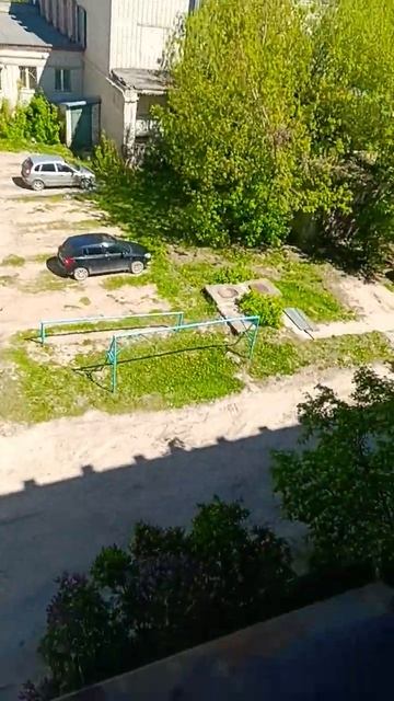 описание съел бобёр смотреть онлайн