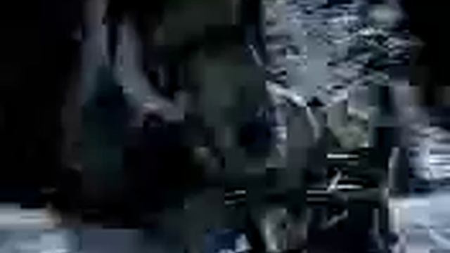 Лошадь смотреть онлайн