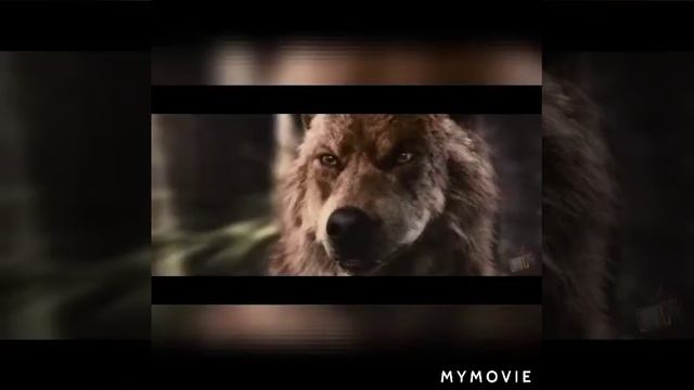 Не умрём смотреть онлайн