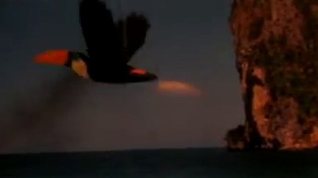 птички смотреть онлайн