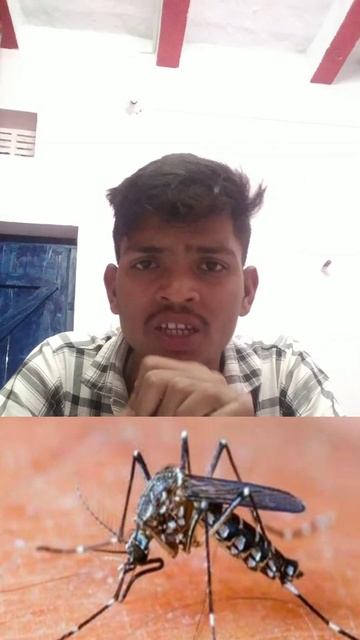 mosquitoes part 3 смотреть онлайн