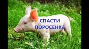 ОП 2.2 "Потерявшийся" Вернуть поросёнка по просьбе Креста в Забытом лесу.