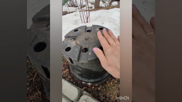 Чем укрыть растения осенью, чтобы хорошо перезимовали. Видео от 30.03.2024