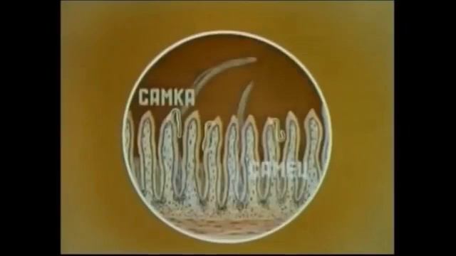 Навчальний фільм Трихінельоз смотреть онлайн