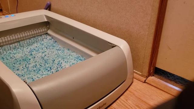 PETSAFE SELF-CLEANING LITTER BOX WATCH BEFORE YOU BUY.. смотреть онлайн