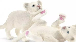 прайд🦁🐅🐆🤔🥐🍕