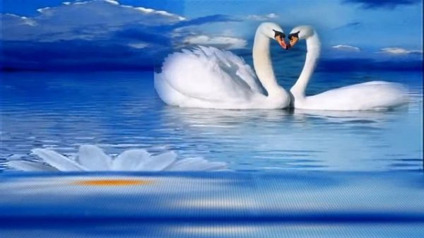 "Счастливая" - Светлана Бочкова.Заслуженная артистка России.