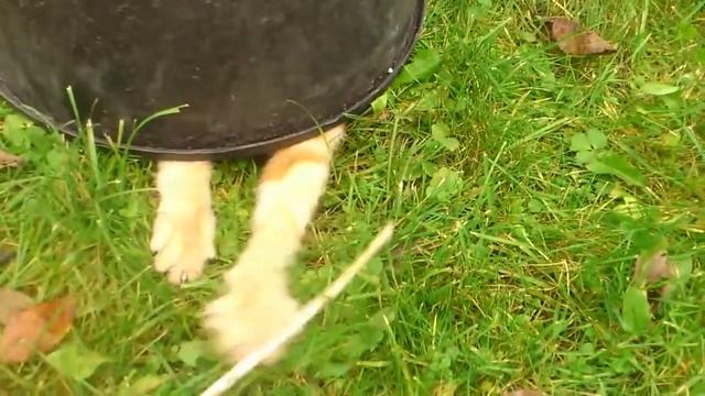 Опасная бочка смотреть онлайн