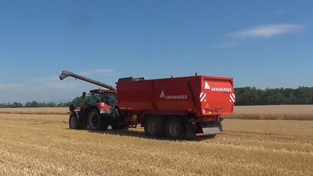 Žně Ozimého Ječmene 2020 - Barley Harvest 2020 | 2x New Holland + 1x Case | ZD Unčovice смотреть онлайн