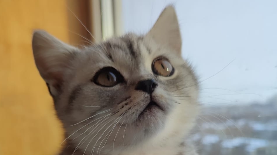 Идёт сдача объекта