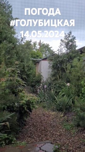 Азовское море #Голубицкая.14.05.2024 г. Дождь, погода! Время,15:57 смотреть онлайн