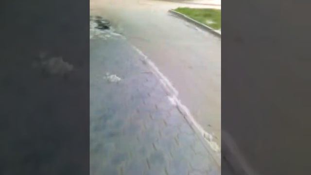 Вечерняя Прогулка Выпуск от 25.05.2017 года смотреть онлайн