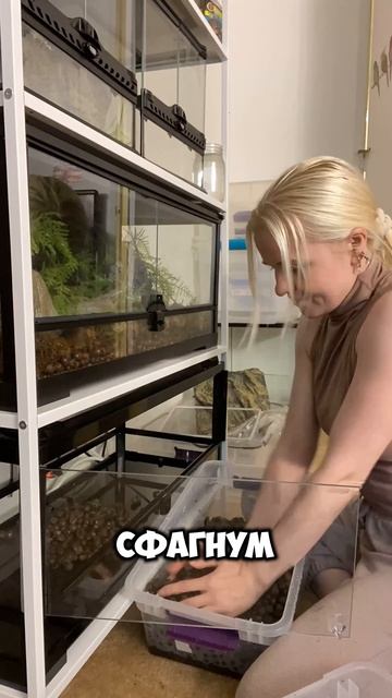 Как я содержу самых ОПАСНЫХ лягушек в мире смотреть онлайн