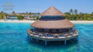 Webinar - Reethi Faru Resort | Maldives