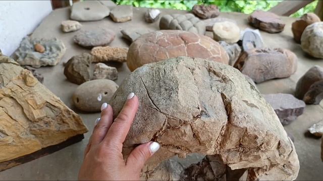 Мёд! Горный, натуральный, лечебный! смотреть онлайн