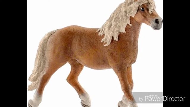 Moje kone 2017 смотреть онлайн