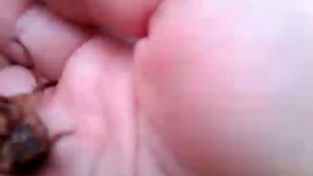 VID 20140120 205842 смотреть онлайн