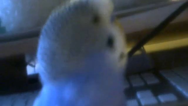 Я тебе не игрушка и уже не подружка