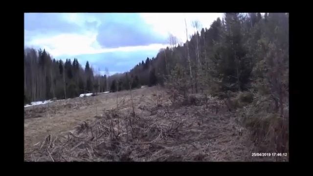 Травка верная смотреть онлайн