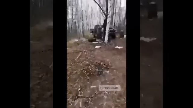 Медведь напал людей ужест смотреть онлайн